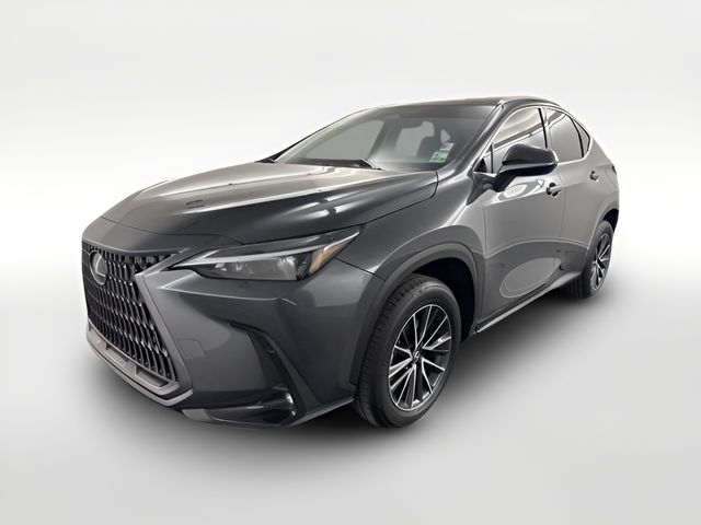 2025 Lexus NX 250 Premium