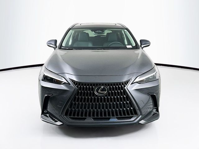 2025 Lexus NX 250 Premium