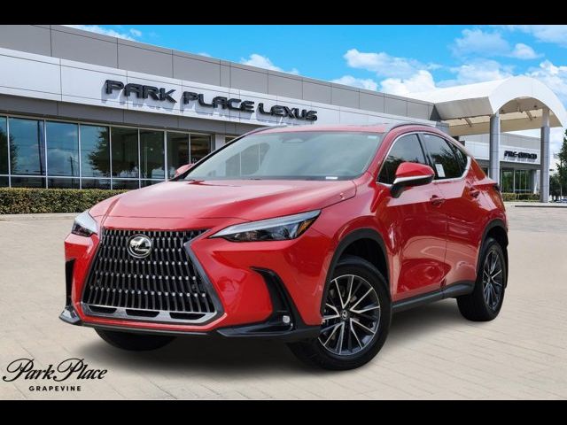 2025 Lexus NX 250 Premium