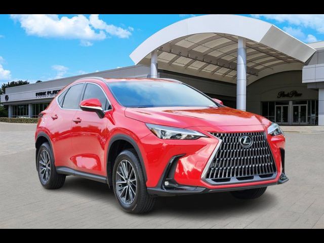 2025 Lexus NX 250 Premium