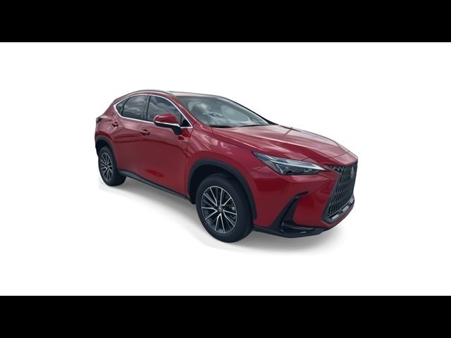 2025 Lexus NX 250 Premium