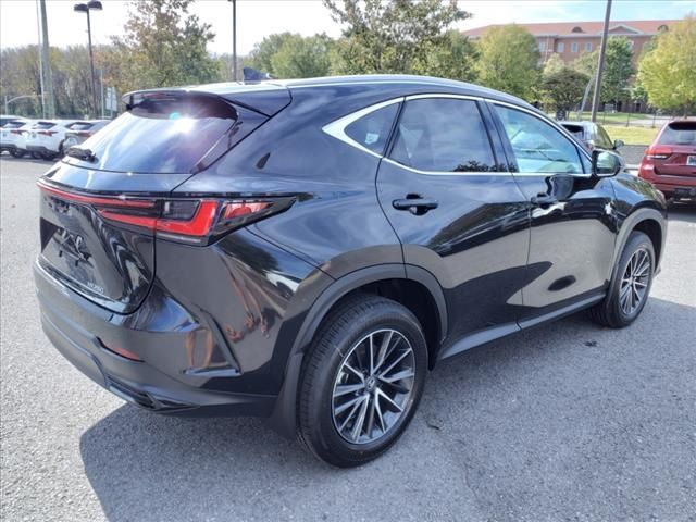 2025 Lexus NX 250 Premium