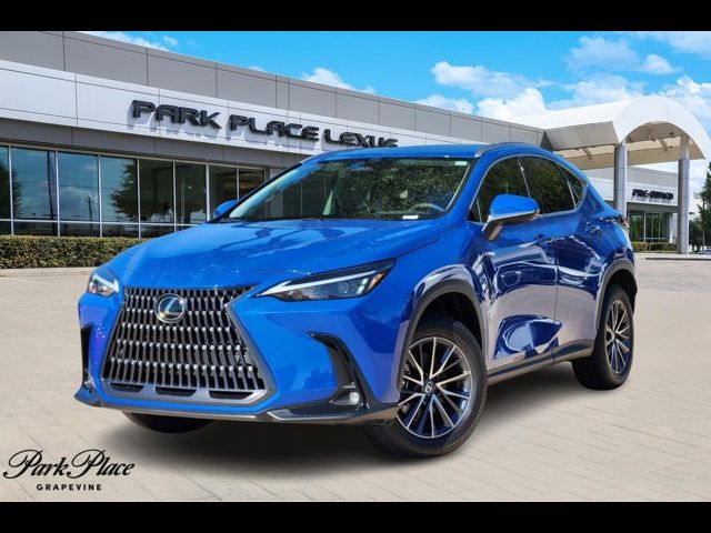 2025 Lexus NX 250 Premium