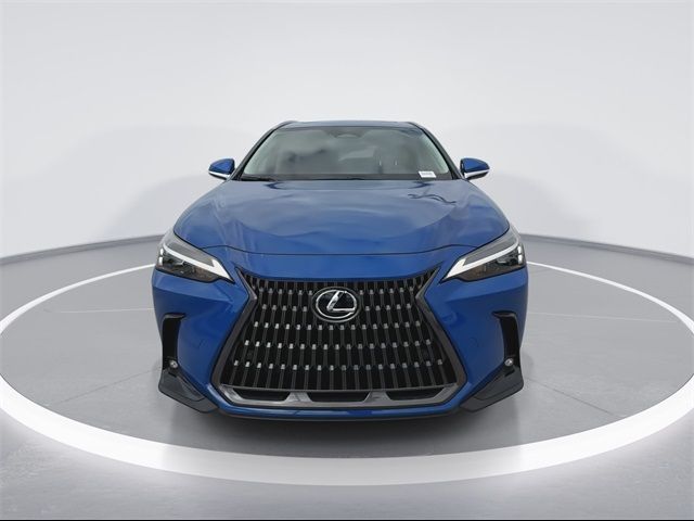 2025 Lexus NX 250 Premium