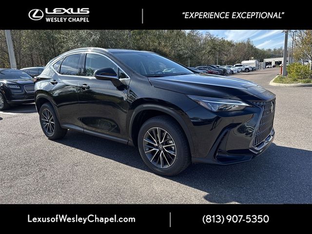 2025 Lexus NX 250 Premium