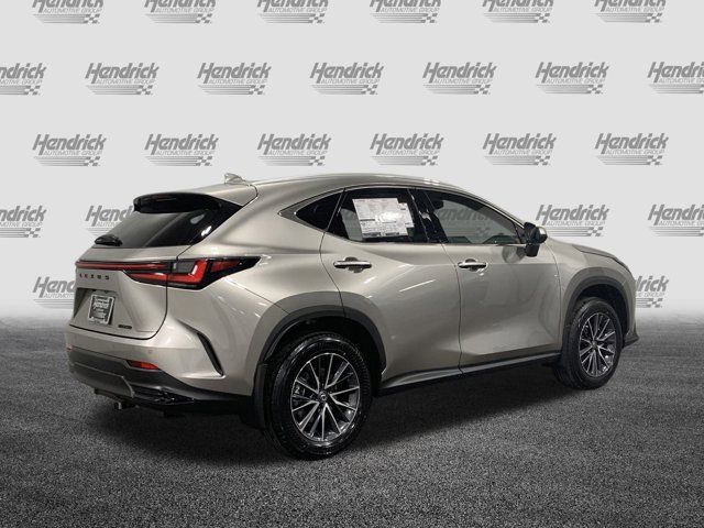 2025 Lexus NX 250 Premium