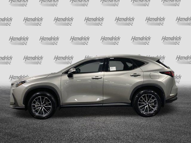 2025 Lexus NX 250 Premium