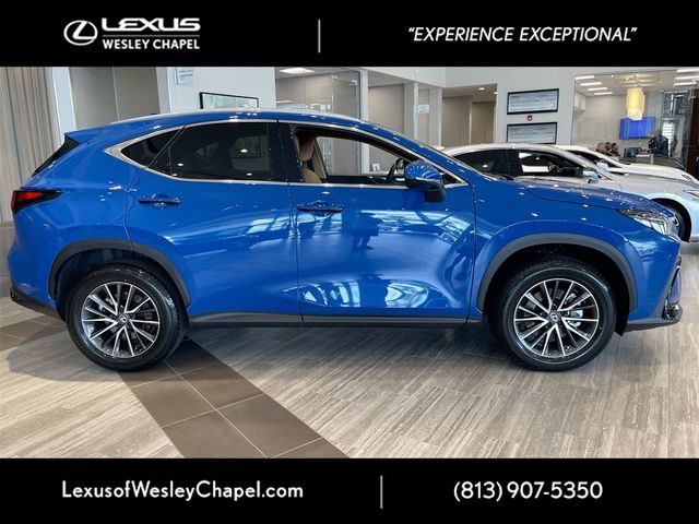 2025 Lexus NX 250 Premium