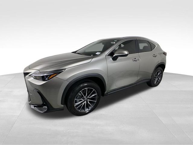 2025 Lexus NX 250 Premium