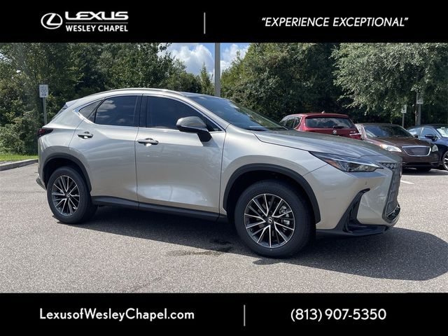 2025 Lexus NX 250 Premium