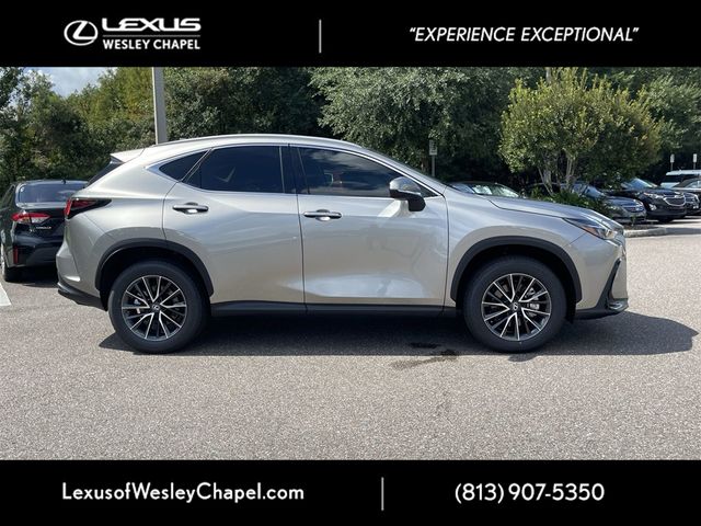 2025 Lexus NX 250 Premium