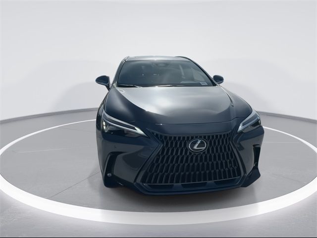 2025 Lexus NX 250 Premium