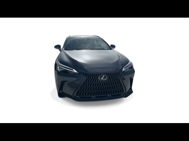 2025 Lexus NX 250 Premium