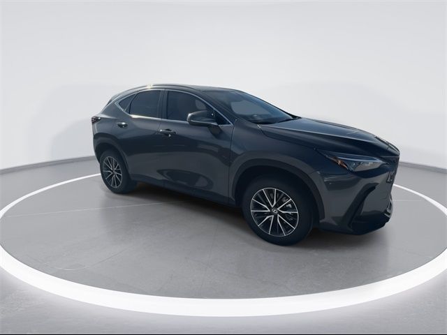 2025 Lexus NX 250 Premium