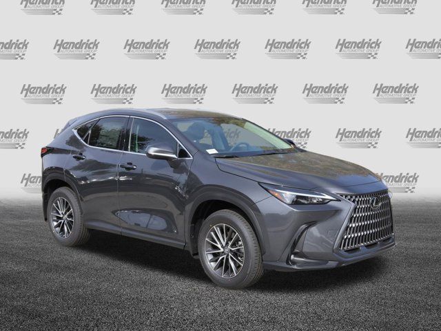 2025 Lexus NX 250 Premium