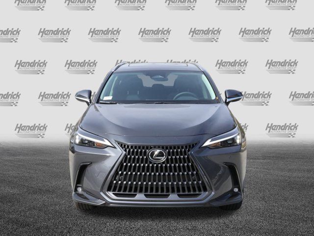 2025 Lexus NX 250 Premium