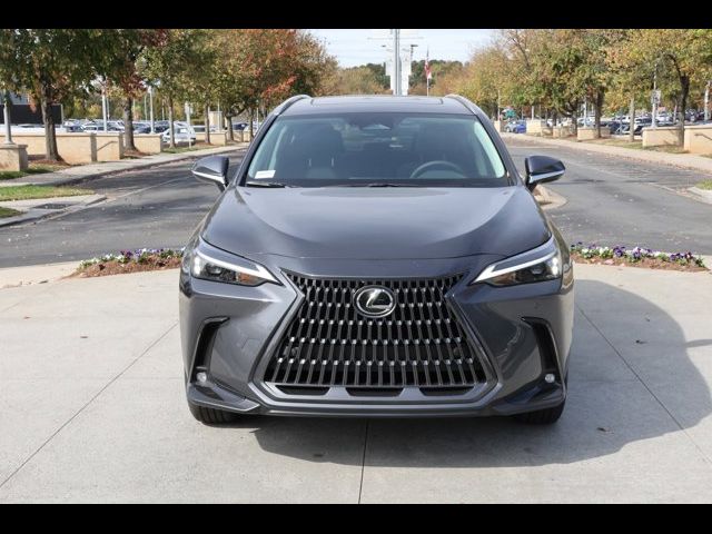 2025 Lexus NX 250 Premium