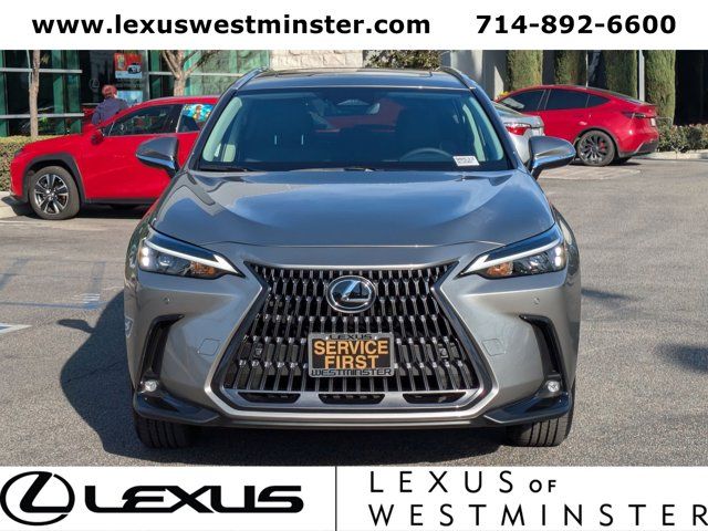 2025 Lexus NX 250 Premium