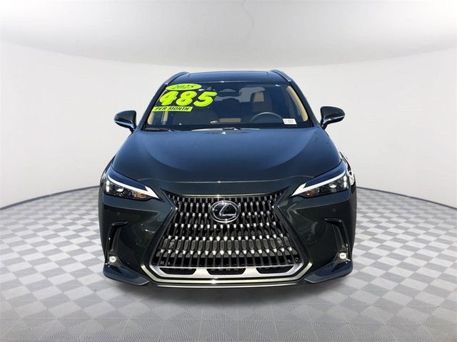 2025 Lexus NX 250 Premium