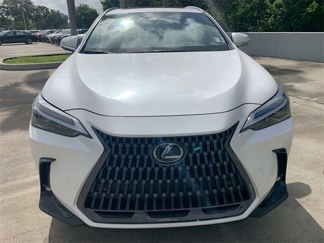 2025 Lexus NX 250 Premium