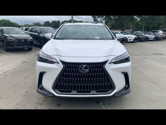 2025 Lexus NX 250 Premium