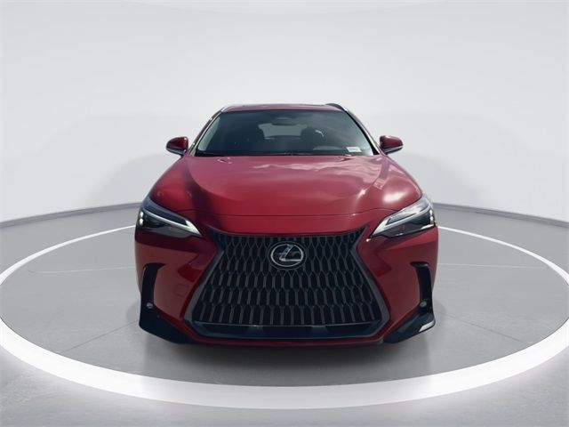 2025 Lexus NX 250 Premium