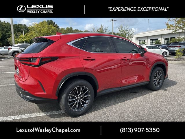 2025 Lexus NX 250 Premium