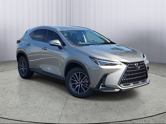 2025 Lexus NX 250 Premium