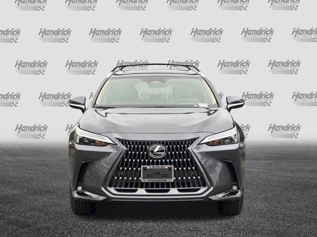 2025 Lexus NX 250 Premium