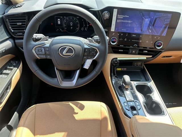 2025 Lexus NX 250 Premium