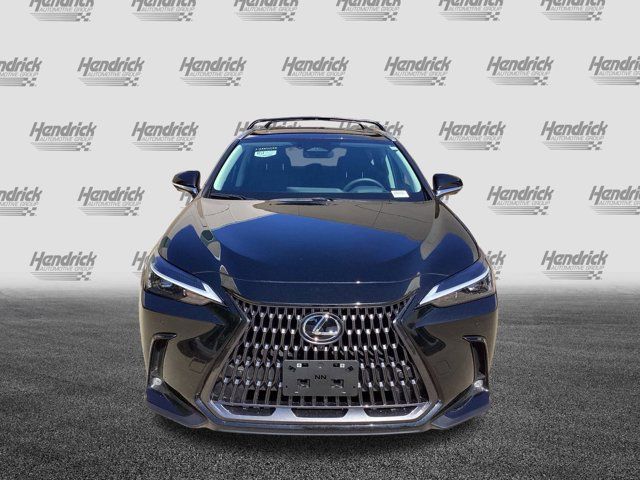 2025 Lexus NX 250 Premium