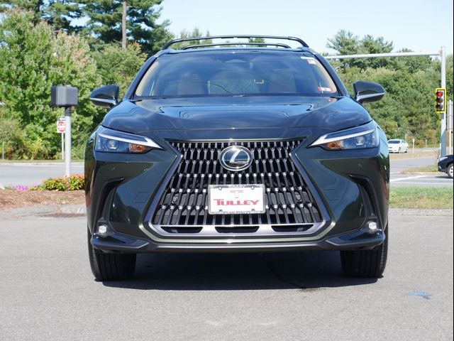 2025 Lexus NX 250 Premium