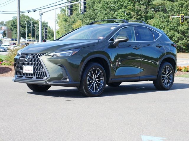 2025 Lexus NX 250 Premium