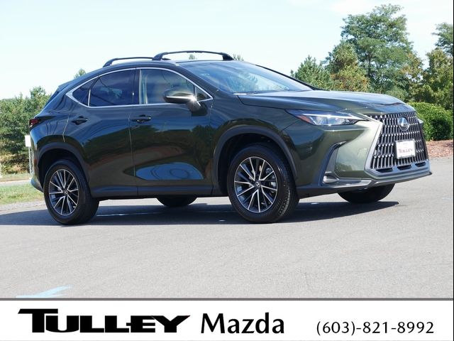 2025 Lexus NX 250 Premium