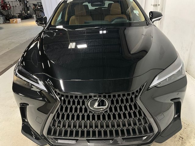 2025 Lexus NX 250 Premium