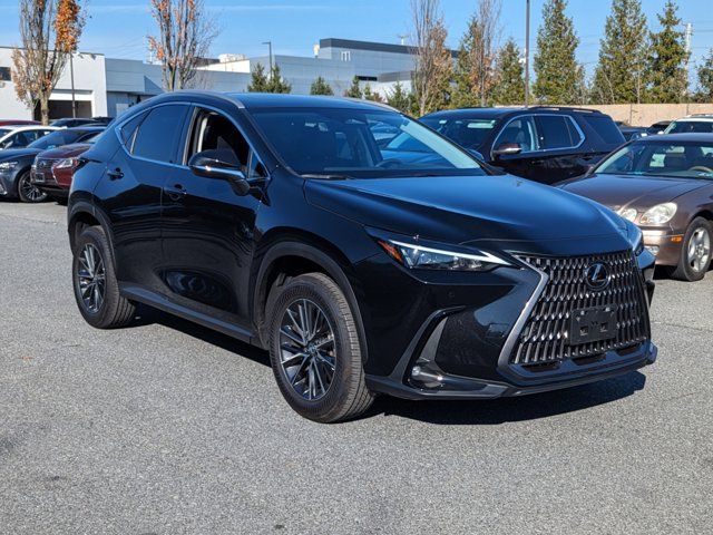 2025 Lexus NX 250 Premium