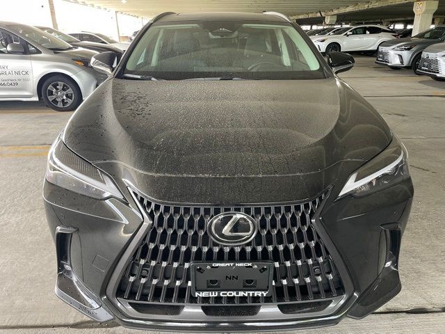 2025 Lexus NX 250 Premium