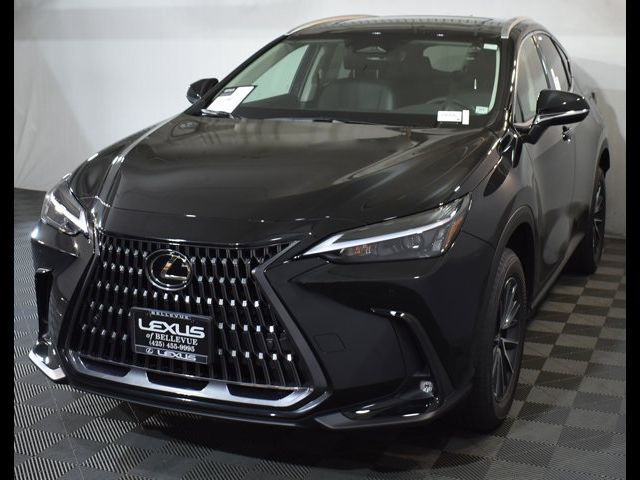 2025 Lexus NX 250 Premium