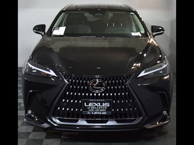 2025 Lexus NX 250 Premium