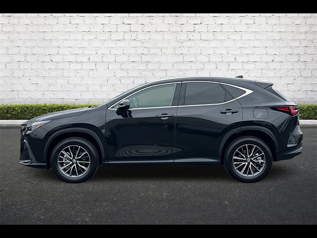 2025 Lexus NX 250 Premium