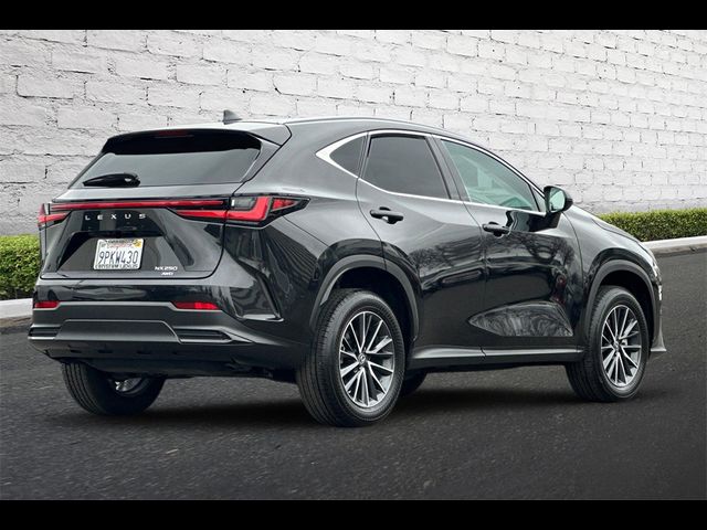 2025 Lexus NX 250 Premium