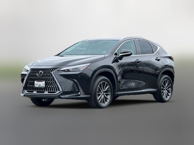 2025 Lexus NX 250 Premium