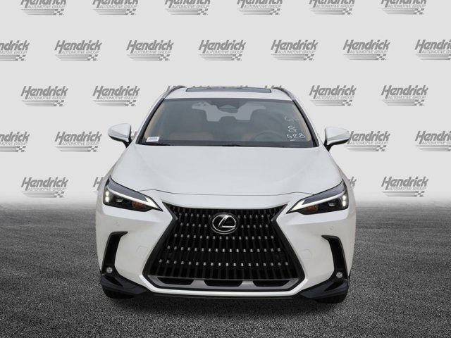 2025 Lexus NX 250 Premium