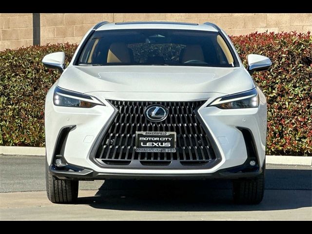 2025 Lexus NX 250 Premium