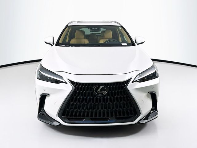 2025 Lexus NX 250 Premium