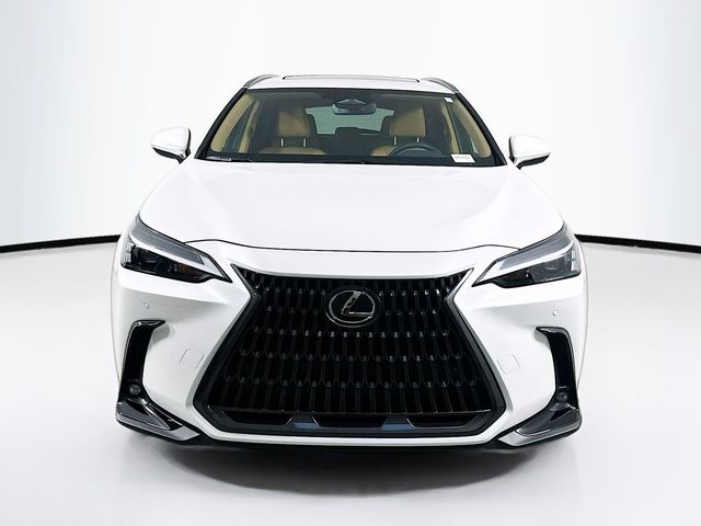 2025 Lexus NX 250 Premium