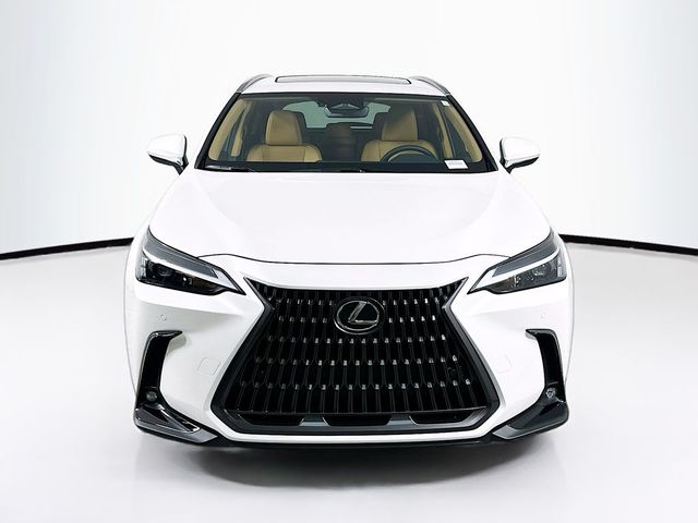 2025 Lexus NX 250 Premium