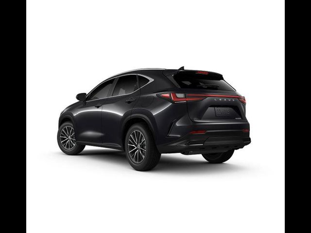 2025 Lexus NX 250 Premium