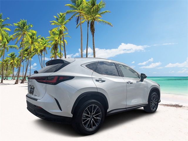 2025 Lexus NX 250 Premium