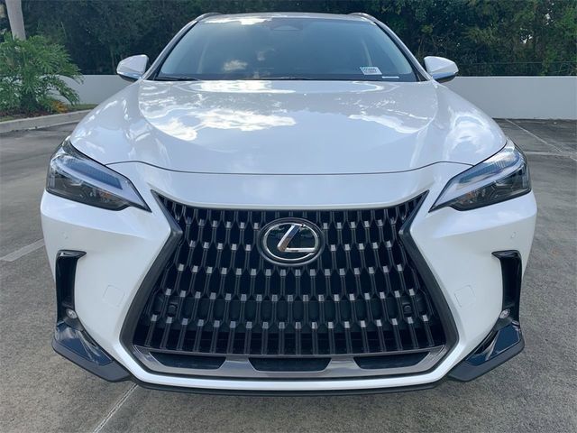 2025 Lexus NX 250 Premium